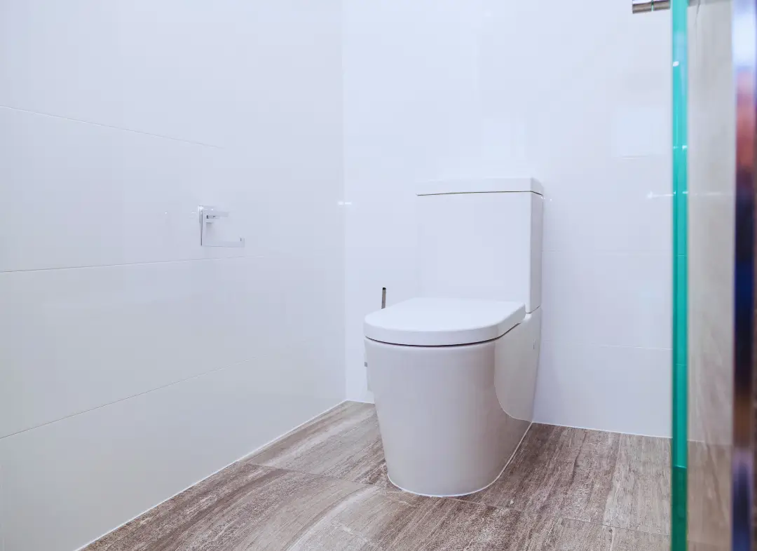 Remplacement de wc Saint-Jory