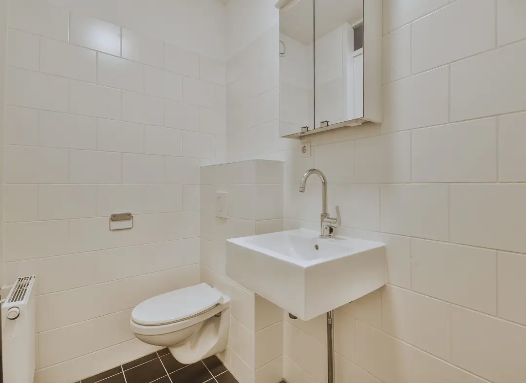 Pose WC Suspendu Saint-Jory